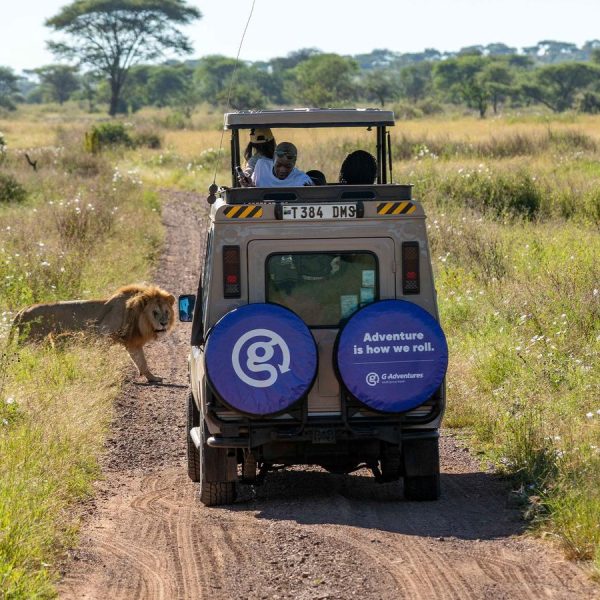 A 4x4 safari vehicle driving through the open savannah of Masai Mara National Reserve