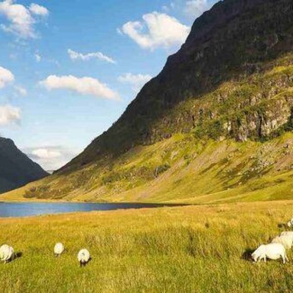 A vista in the Scottish Highlands, a potential view on the Scotland: Hiking the Highlands tour with Bold Spirit Travel.