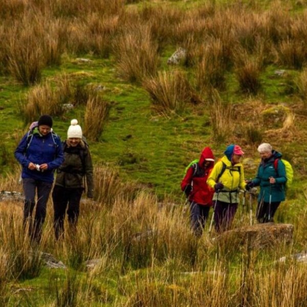 A group of hikers during our summer holiday enjoying the outdoors.