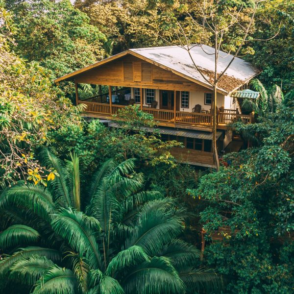 A treehouse lodge nestled among the verdant forest in Panama - Tranquilo Bay - Safe place for women to stay