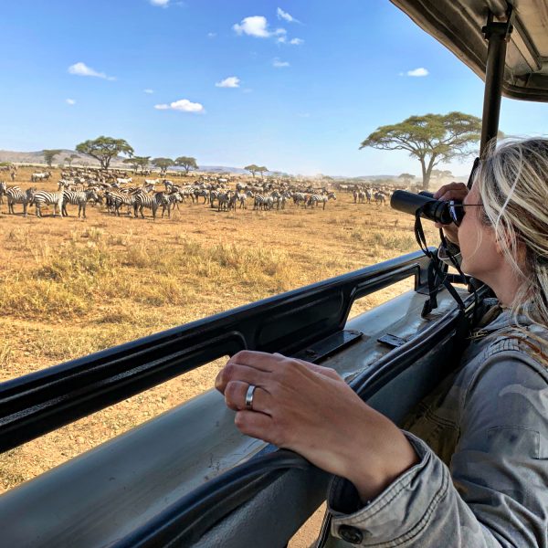 Women capturing wildlife photos during a game drive in a Tanzanian national park - Tanzania Safari Serengeti Wildlife & Culture 2025