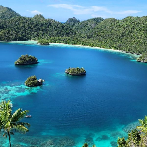 Wajag Island, Raja Ampat, Indonesia