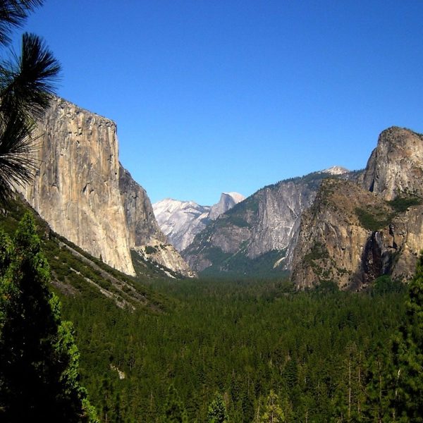 Yosemite Volunteer Trip