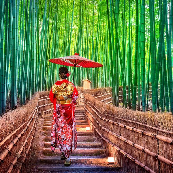 bamboo-forest