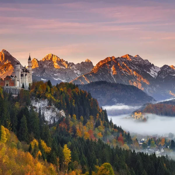 Neuschwanstein Castle and the Black Forest - Best of Germany