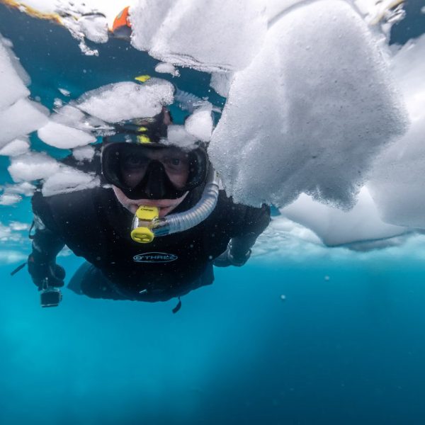 bf1c20e3-cb08-4db0-a96b-5b3ab1c4cb79