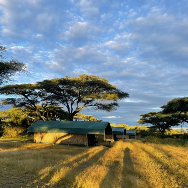 A photo of the camp you will stay in on the Explore the gems of Northern Tanzania with us tour hosted by Intent on Safari.