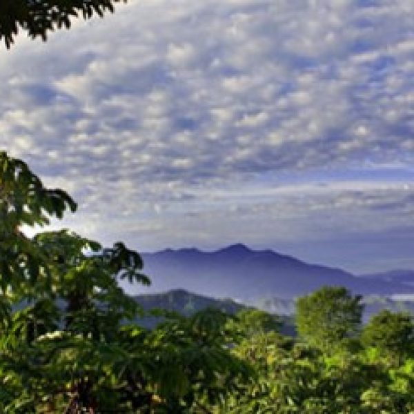 Photo of the greenery of Costa Rica - Costa Rica Explorer, Canyon Calling