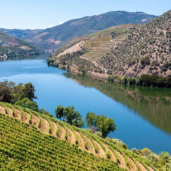 A picturesque view of the breathtaking vineyards nestled in the scenic Douro Valley region - Country Roads of Portugal, A Women-only Tour - Insight Vacations
