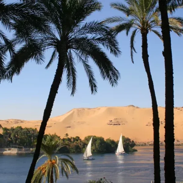 Relishing a serene Nile Cruise en route to the enchanting city of Aswan, experiencing the tranquil beauty of Egypt's iconic river journey - SPLENDOURS OF EGYPT, A WOMEN-ONLY TOUR - Insight Vacations