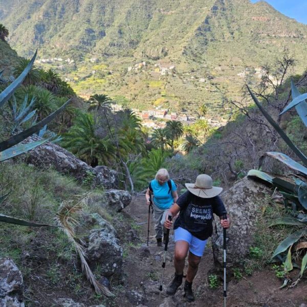 Women hiking during their trip to La Gomera - Christmas in La Gomera 2024 - WalkingWomen