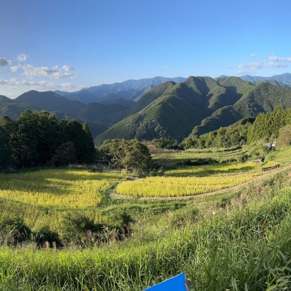 A landscape view of a verdant valley with mountains and trees in the background depicting Japan's Kumano Kodo Pilgrimage Trail - Adventures in Good Company