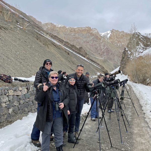 A tour group waits to spot a snow leopard in Ladakh, India - Mama Tembo Tours