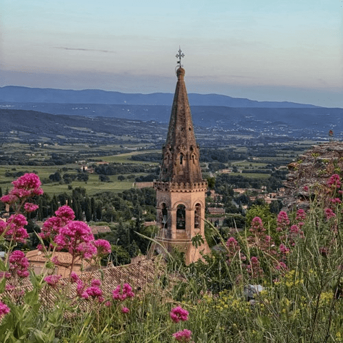 Landscape of flowers and church steeple in the background - Provence Lifestyle and Photography Tours