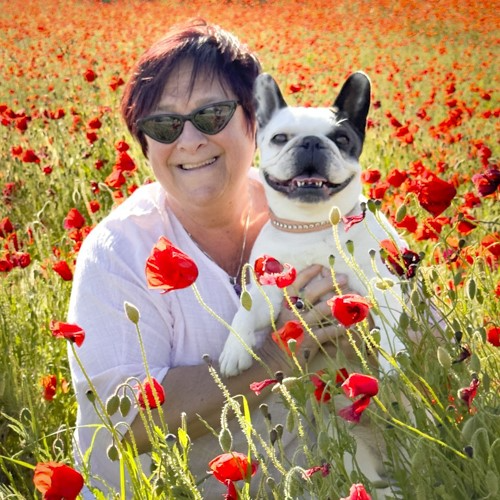 A woman (Raina Stinson) sits smiling among the poppies with her French bulldog - Provence Lifestyle and Photography Tours
