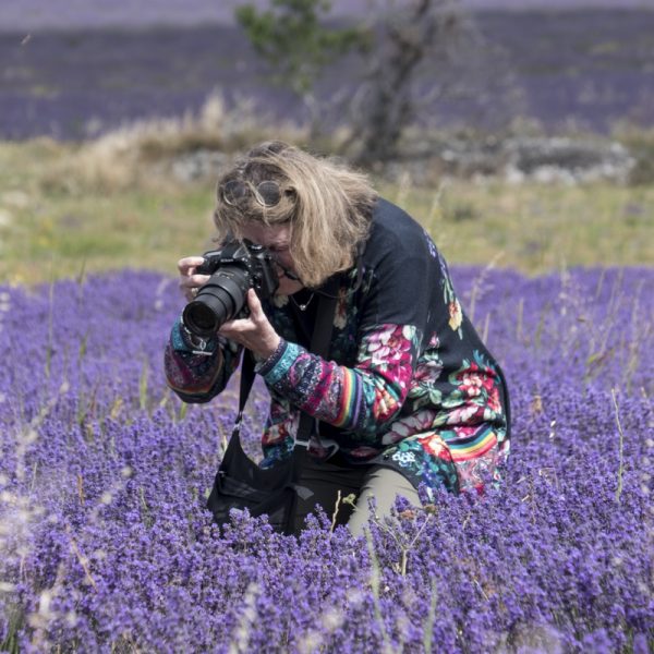 Woman capturing the beauty of lavender fields with a camera in Provence