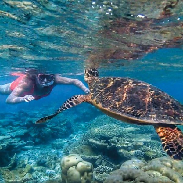 A woman snorkels with a sea turtle in San Cristobal, part of the Natural Wonders of Ecuador and the Galapagos tour by Just You.
