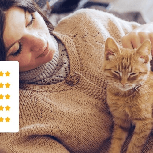 Trusted Housesitters - Sitter ratings