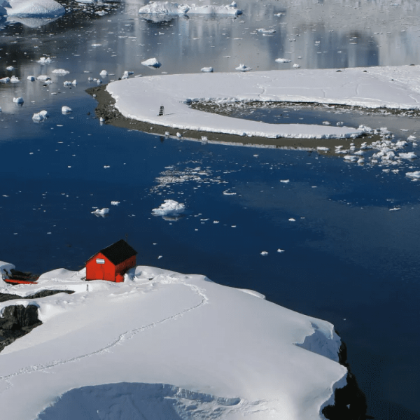 Weddell Sea - Swan Hellenic