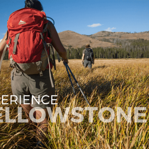 Yellowstone Active Adventure - Wild Women Expeditions
