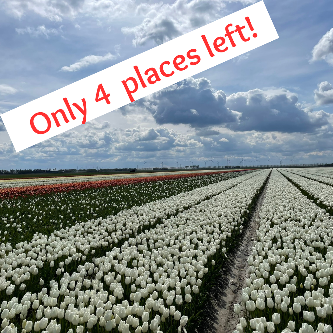 Only-4-places-left