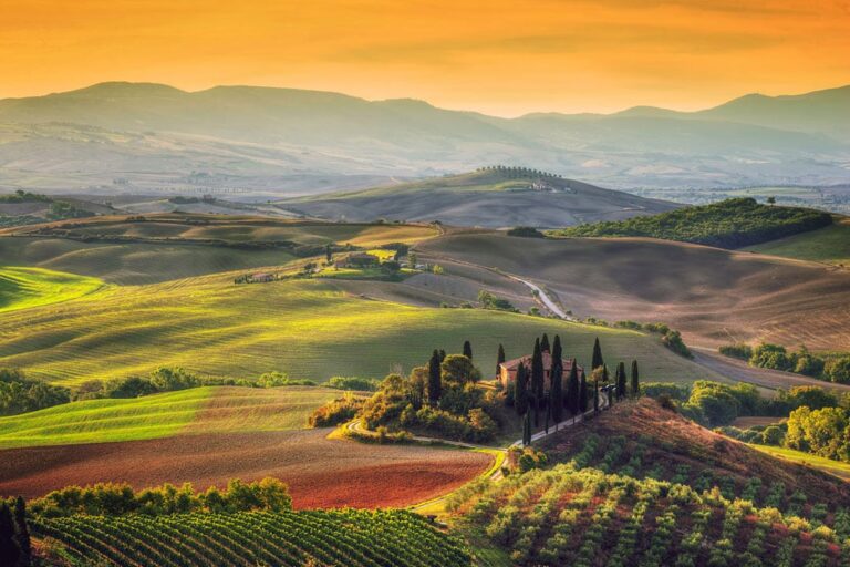 Scenic view of a picturesque vineyard nestled in the rolling hills of Tuscany, Italy. - Active Tuscany - Canyon Calling
