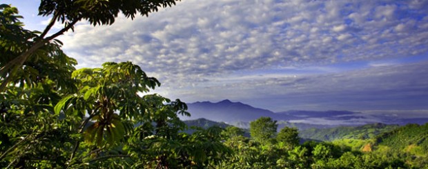 Photo of the greenery of Costa Rica - Costa Rica Explorer, Canyon Calling