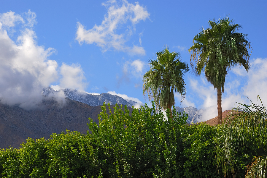 bigstock-San-Jacinto-Mountains-7082838