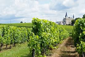 The Exceptional Region of Bordeaux