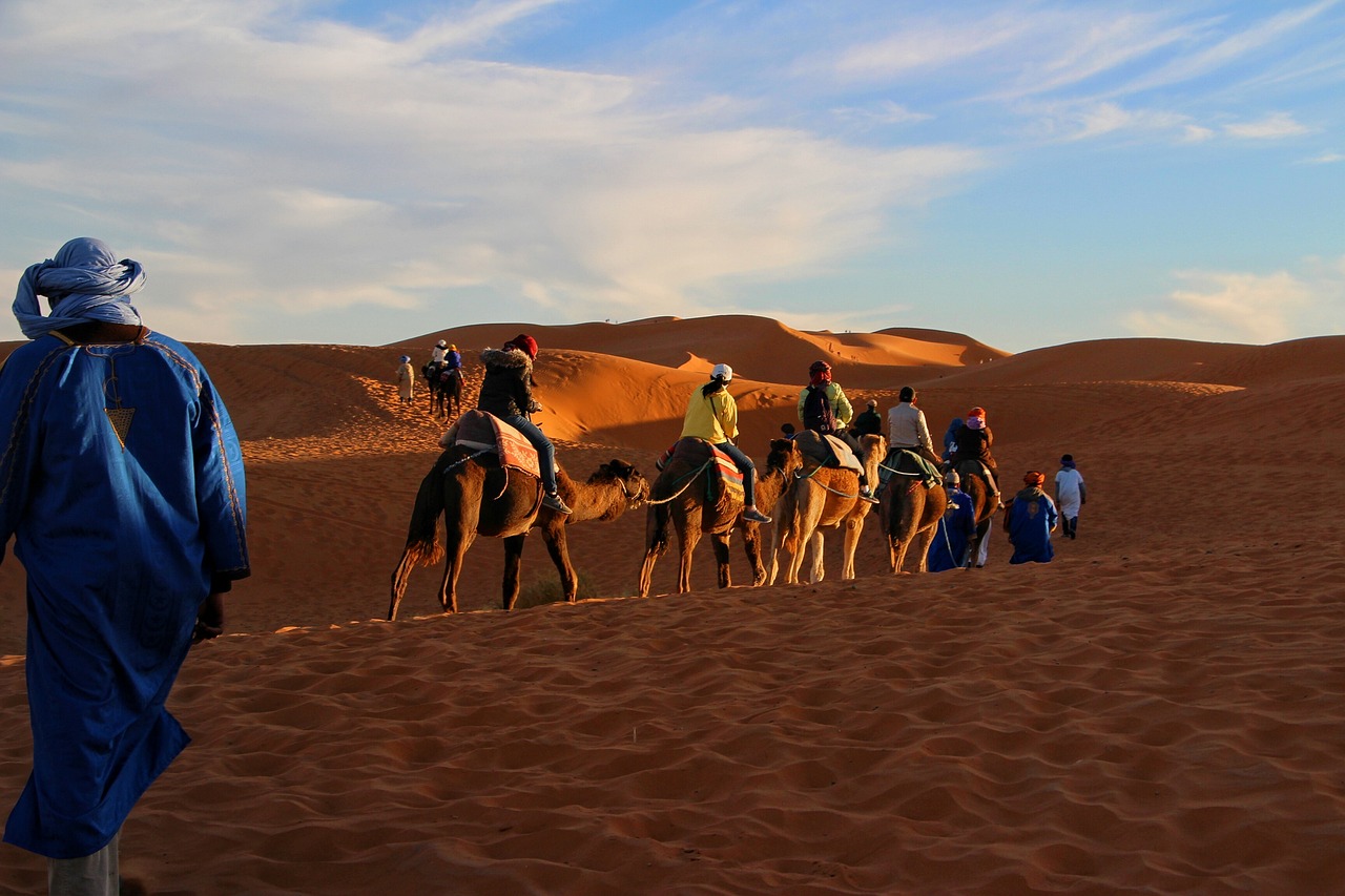 Camels trekking across the vast dunes of the Sahara Desert under a clear sky - 5 Day Sahara Desert Morocco Tour