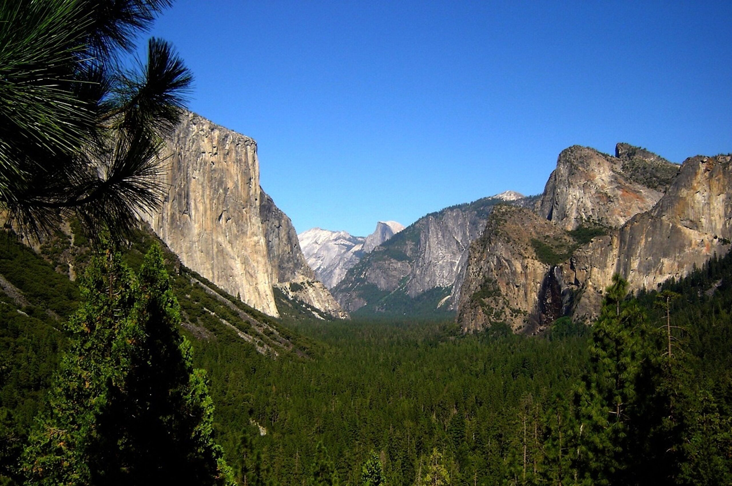 Yosemite Volunteer Trip