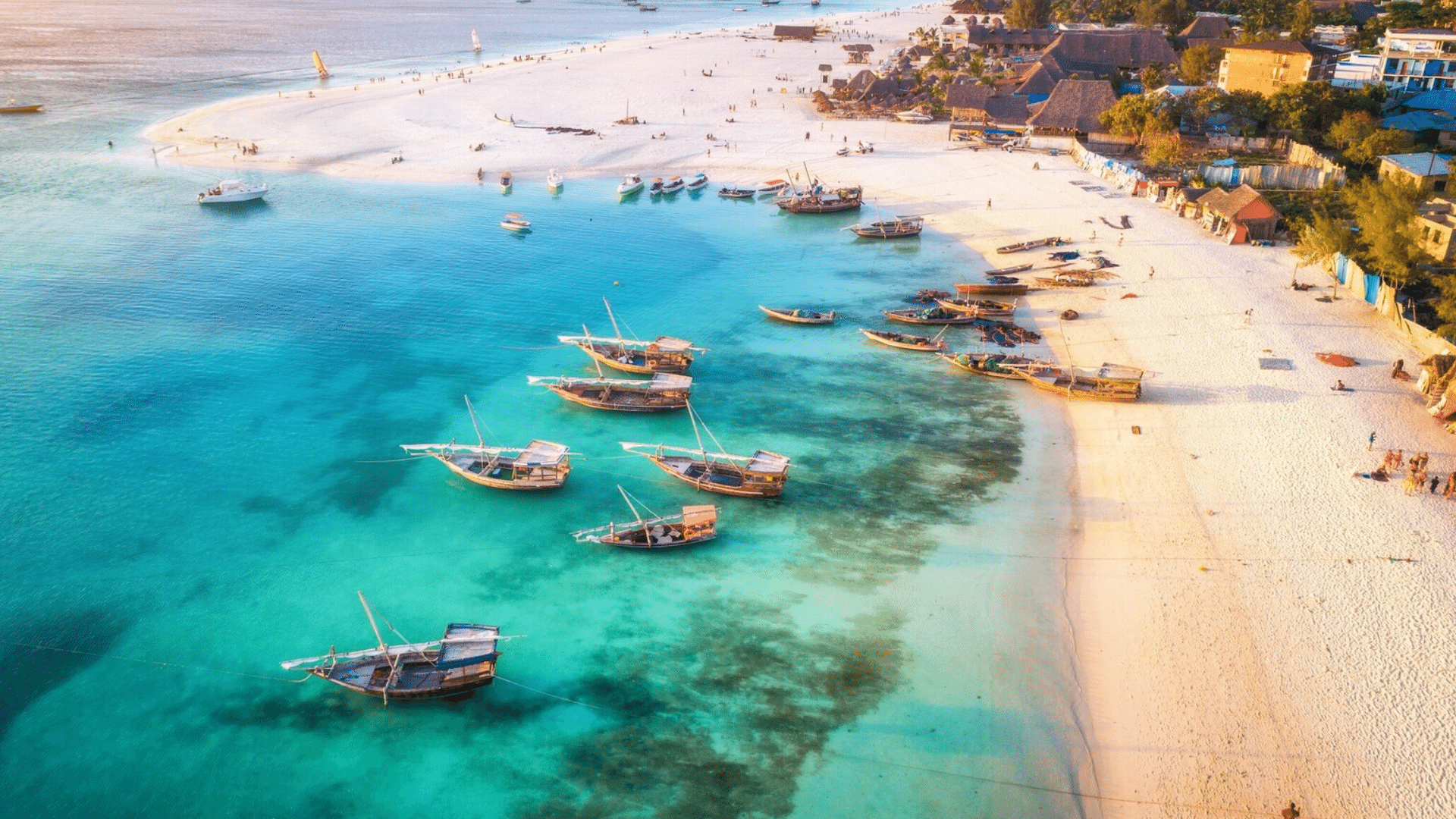 Shoreline of the Swahili Coast, showcasing crystal-clear waters - Discover the Swahili Coast