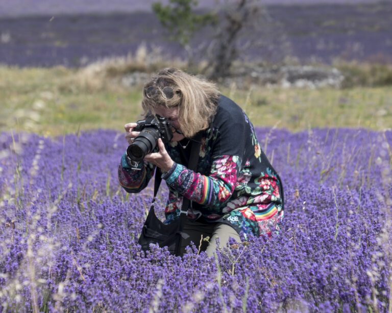 Summer in Provence Lifestyle and Lavender and Photography Tour