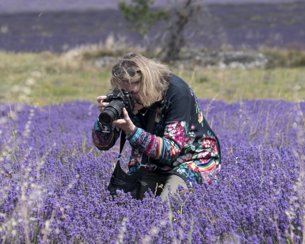 Woman capturing the beauty of lavender fields with a camera in Provence