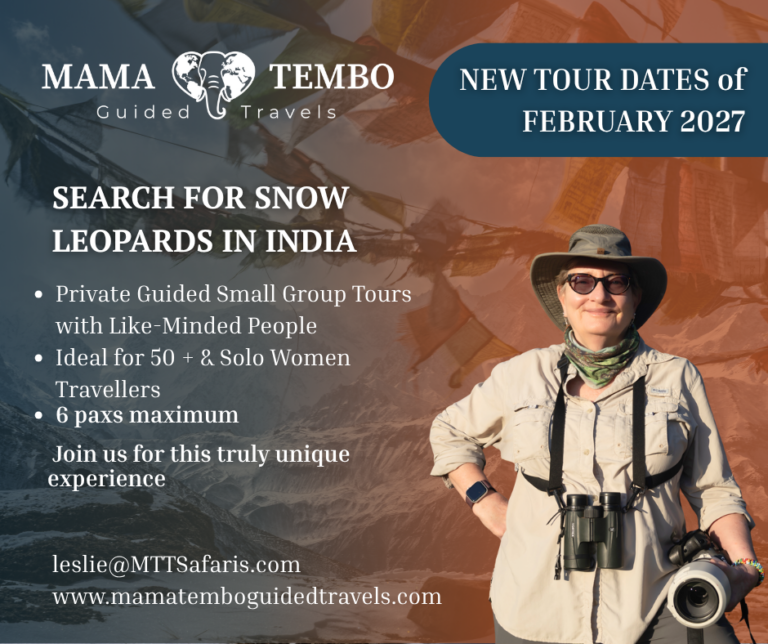 In Search of Snow Leopards in Ladakh, India