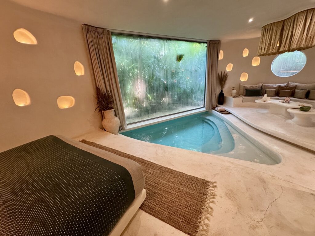 Milam-Room-with-a-pool