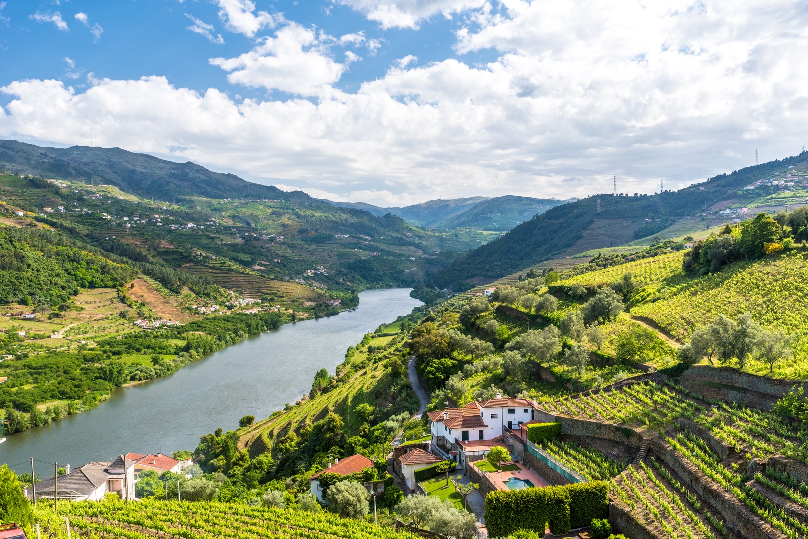 Panoramic view of the Douro Valley with terraced vineyards and rolling hills - Women, Wine & Wanderlust