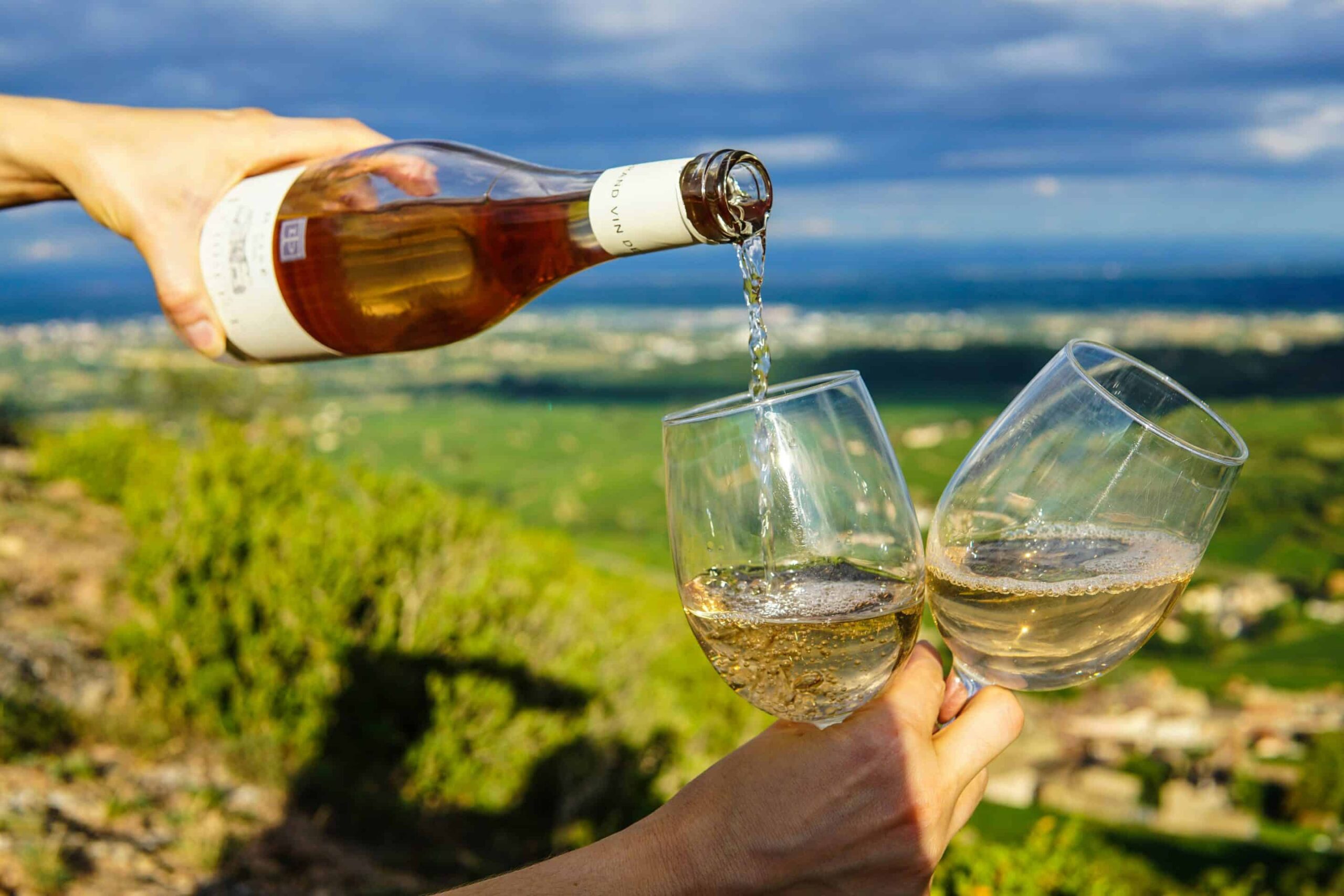 Enjoying a beautiful afternoon in a vineyard, surrounded by lush grapevines and scenic countryside views under a sunny sky.