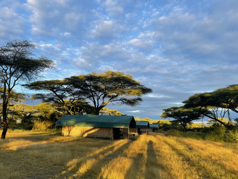 A photo of the camp you will stay in on the Explore the gems of Northern Tanzania with us tour hosted by Intent on Safari.