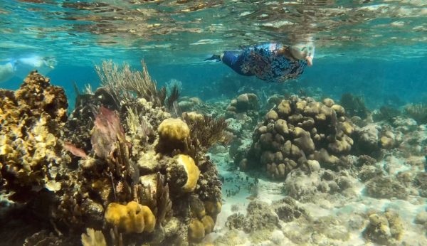 Women snorkeling in the clear turquoise waters off the beaches of Roatán, Honduras