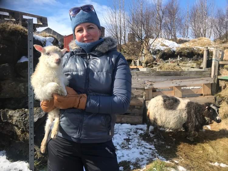 Iceland Knitting Tour Workshops, Northern Lights & Réttir Sheep Round Up Experience