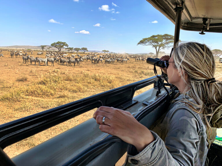 Women capturing wildlife photos during a game drive in a Tanzanian national park - Tanzania Safari Serengeti Wildlife & Culture 2025