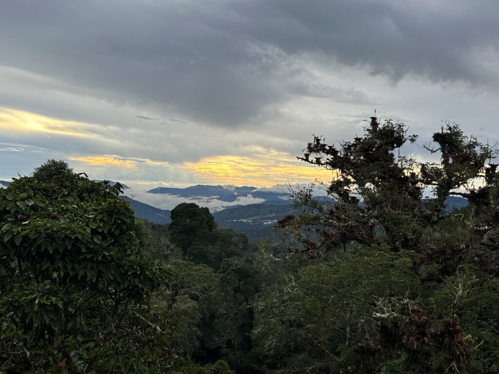 The view from a room at Paraiso Quetzal Lodge in Copey, Costa Rica, recommended as a safe place for women to stay by a JourneyWoman reader.