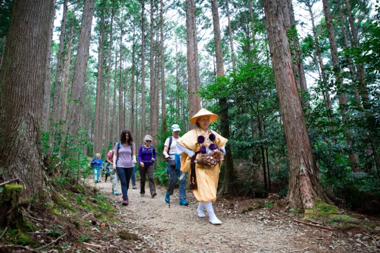 Japan: Ancient Traditions, Onsens, & Hiking the Kumano Kodo